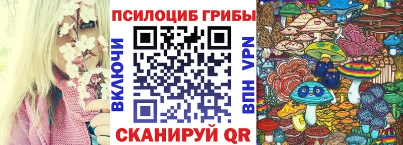Купить  Ишимбай  Псилоцибиновые грибы MAGIC MUSHROOMS 